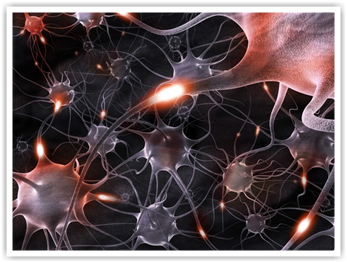 neurony